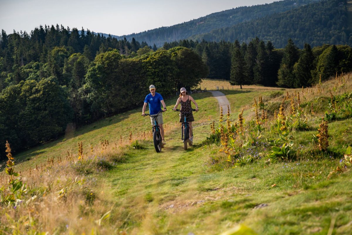 2024-ete-aout-territoire-belfort-ballon-alsace-vosges-massif-randonnee-auberge-parc-arbre-en-arbre-trottinette (108)