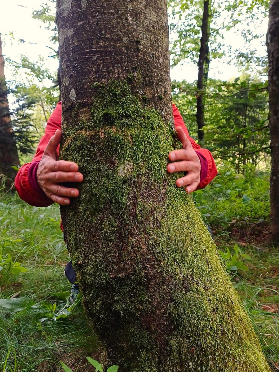 FETS bain de forêt MDE 2 (2)