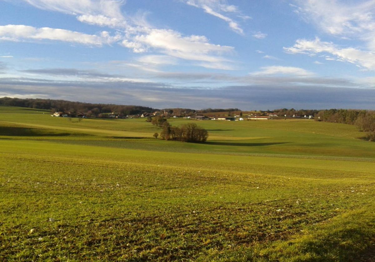 plateau-ajoie