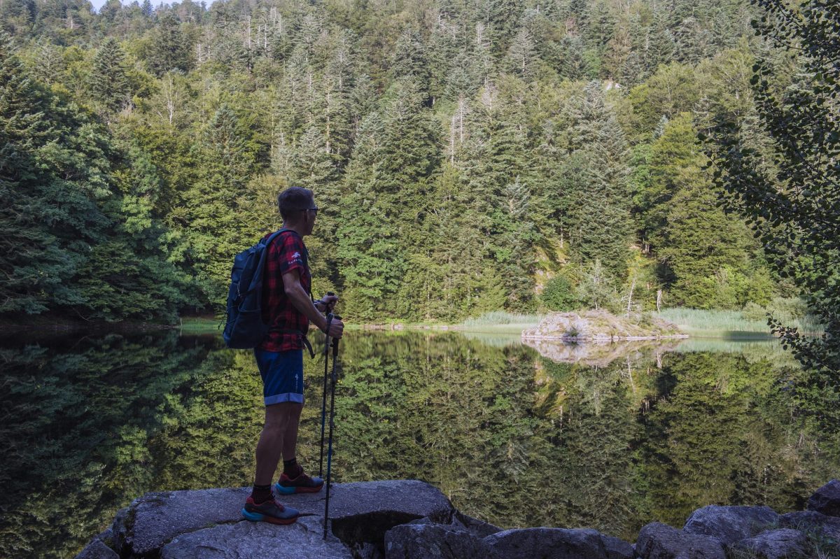 Etang des Roseaux