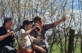 A la découverte des oiseaux d