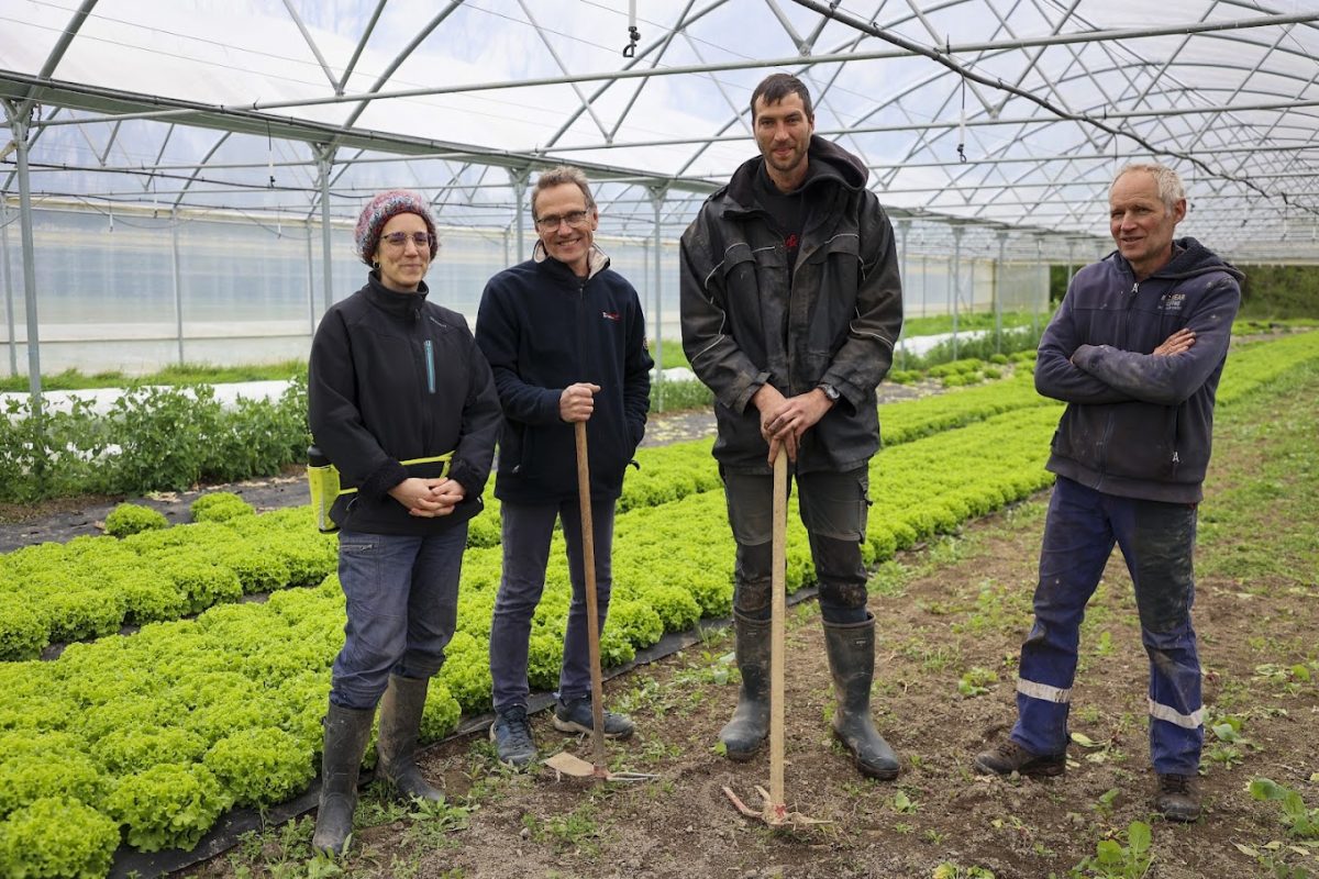 Les 4 associés du Biau Potager